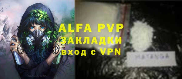 амф Володарск