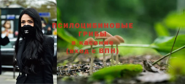 амф Володарск