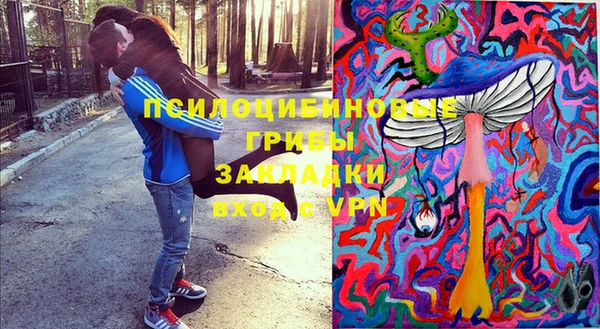 амф Володарск